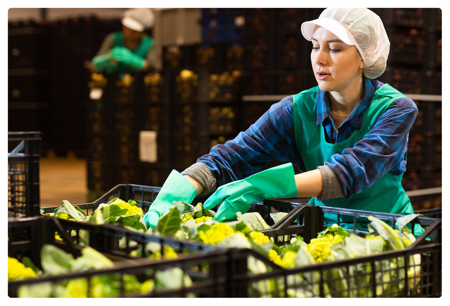 CF Cold Transportation Warehouse